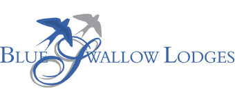 blue swallow logo